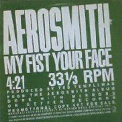 Aerosmith : My Fist Your Face